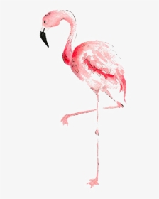 Flamingo Watercolor Painting Transprent - Flamingo Wall Printable Free, HD Png Download, Transparent PNG