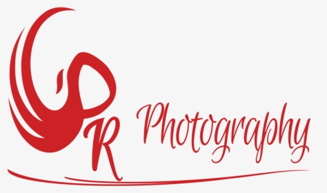 Photography Png Logo - Calligraphy, Transparent Png, Transparent PNG