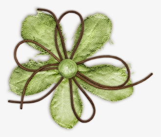 Green Flower Photo Greenflower - Flowers Green, HD Png Download, Transparent PNG