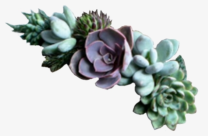 Succulents Flowercrown Green Plants - Succulent Jewelry, HD Png Download, Transparent PNG