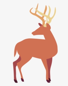 Deers Are Such Majestic Animals  get The Sticker Here - Elk, HD Png Download, Transparent PNG