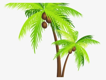 Transparent Coconut Tree Vector, HD Png Download, Transparent PNG