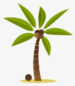 Related Image - Transparent Coconut Tree Gif, HD Png Download, Transparent PNG