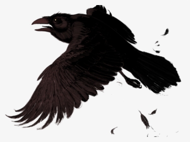 Raven Clipart Transparent Background - Doves And Ravens Fly The Same, HD Png Download, Transparent PNG