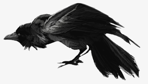 Crow Clipart Scary - Scary Raven Png, Transparent Png, Transparent PNG