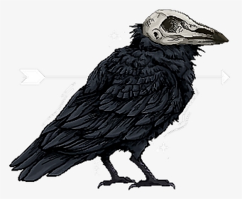 #raven #skull #arrow - Raven With Skull Head, HD Png Download, Transparent PNG