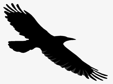 Raven Symbol Transparent Background, HD Png Download, Transparent PNG