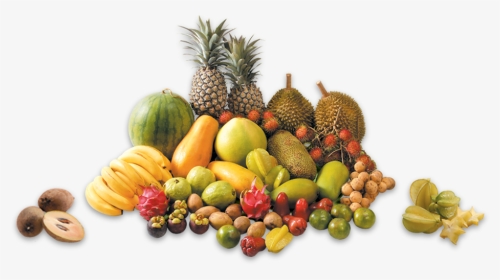 Malaysian Fruits, HD Png Download, Transparent PNG