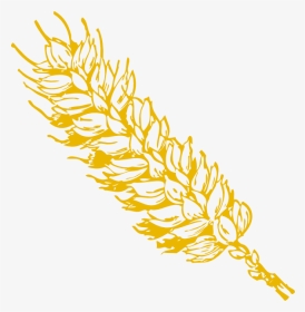 Gold Wheat 1 Clip Art At Clipart Library, HD Png Download, Transparent PNG