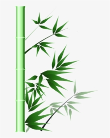 Jenis Jenis Bambu Hias Lengkap Dengan Wallpaper Gambar - Bambus Transparent, HD Png Download, Transparent PNG