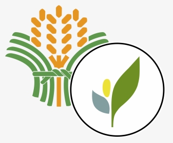 Bureau Of Plant Industry Logo, HD Png Download, Transparent PNG