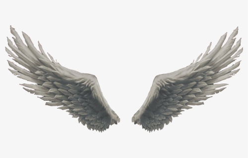 Angel Wings God Sticker - Feather Png For Editing, Transparent Png, Transparent PNG