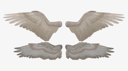Daz Epic Wings, HD Png Download, Transparent PNG