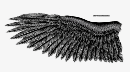 Eagle Wings Png Image - Black Eagle Wings, Transparent Png, Transparent PNG