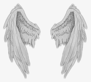 #asas #angel #anjo #wings #angelwings #sticker - Wings Stickers, HD Png Download, Transparent PNG