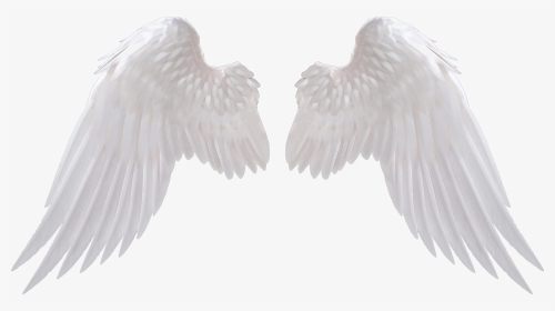 Angel Wings Png - Transparent Background Angel Wings Png, Png Download, Transparent PNG