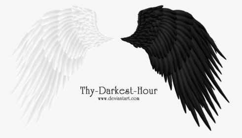 Angel Wings 08 Png By Thy Darkest Hour On Clipart Library - Alas Formato Png, Transparent Png, Transparent PNG