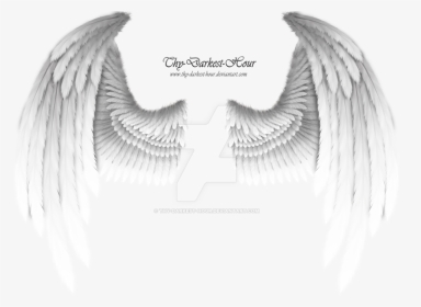 White Wings Png Download - Golden Angel Wings Png, Transparent Png, Transparent PNG