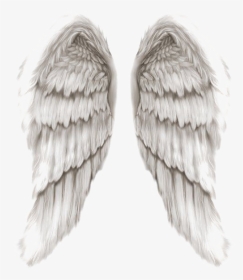 Angel Wings Png Transparent Image - Angels Of God Wings, Png Download, Transparent PNG