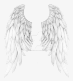 White Angel Wings Png - Realistic Angel Wings Drawing, Transparent Png, Transparent PNG