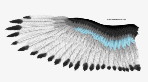 Eagle Wings Png - White Feather Texture Eagle, Transparent Png, Transparent PNG