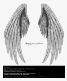 Realistic Angel Wings Drawing, HD Png Download, Transparent PNG