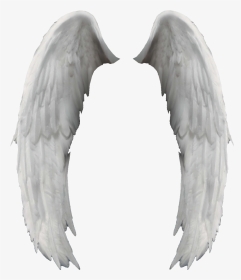 Search Results For “angel Wings Png” Calendar - Angel Wings, Transparent Png, Transparent PNG