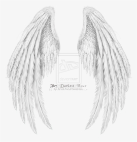 Dance Angel Wings Folded Dragon White Psd - Realistic Angel Wings Drawing, HD Png Download, Transparent PNG