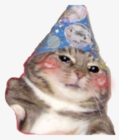 #funny #kitten #hat #birthday #celebration #blush #blushy - Think This Is A Motherfucking, HD Png Download, Transparent PNG