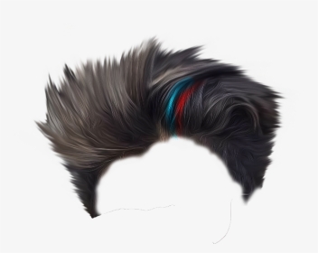 #hair #hairstyles #hairstyle #style #freetoedit - Hooded Skunk, HD Png Download, Transparent PNG