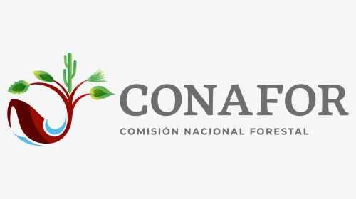 Comisión Nacional Forestal - National Forestry Commission Of Mexico, HD Png Download, Transparent PNG