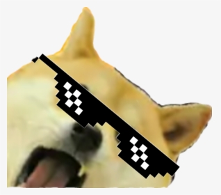 Dog, HD Png Download, Transparent PNG