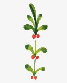 Watercolor Painting Christmas Plants - Transparent Background Christmas Clipart Free, HD Png Download, Transparent PNG