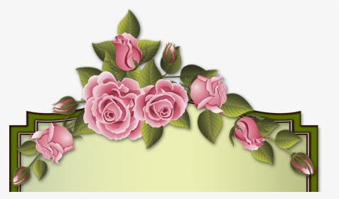 Изображение Для Плейкаста - Garden Roses, HD Png Download, Transparent PNG