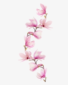 Pink Magnolia Tattoo, HD Png Download, Transparent PNG