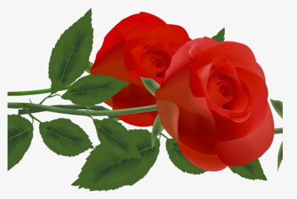 Red Rose Clipart Redflower - Clip Art, HD Png Download, Transparent PNG
