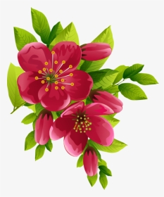 Best Wallpaper Images Flowers, HD Png Download, Transparent PNG
