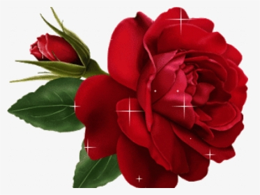 Red Rose Clipart Animated - Rose Flower Gif, HD Png Download, Transparent PNG