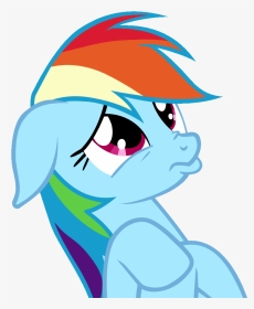Transparent Begging Please Clipart - Rainbow Dash Cute Meme, HD Png Download, Transparent PNG