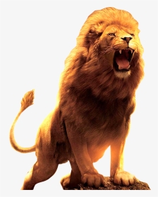 Lion Roar Wallpaper Hd, HD Png Download, Transparent PNG