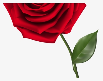 Red Rose Clipart Phantom The Opera - Single Red Rose No Background, HD Png Download, Transparent PNG