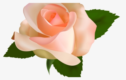 Peach Rose Clipart Image Royalty Free Download Peach - Peach Color Rose Png, Transparent Png, Transparent PNG