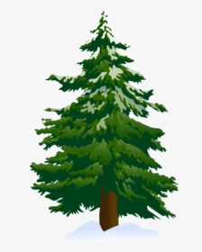 Top View Of Pine Tree Png High Res Free - Pine Tree Clipart Png, Transparent Png, Transparent PNG