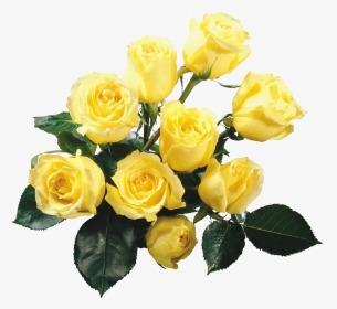 Rose Yellow Flower Bouquet Wallpaper - Flower Png Clipart Yellow Roses Png, Transparent Png, Transparent PNG