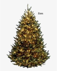 Christmas Tree Png Download Cliparts Only Clipground - Christmas Tree With Lights Png, Transparent Png, Transparent PNG