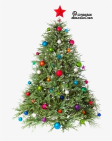 Christmas Tree Clipart Psd - Christmas Tree Png, Transparent Png, Transparent PNG