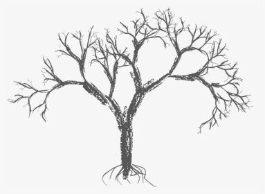 Drawing Wall Easy - Free Vector Tree, HD Png Download, Transparent PNG