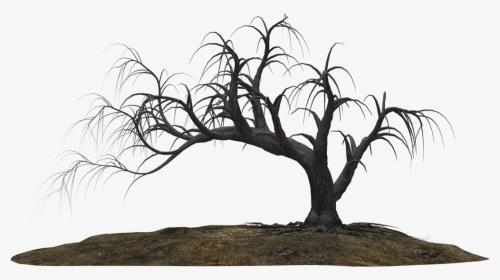 Creepy Tree 19 By Wolverine041269 - Scary Tree Png, Transparent Png, Transparent PNG
