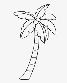 Simple Drawing Palm Tree, HD Png Download, Transparent PNG