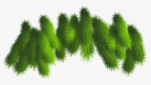 Pine Bough With Ornaments Png - Christmas Tree Branches Png, Transparent Png, Transparent PNG
